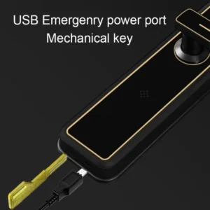 TM-T09 Smart Hotel Lock  No.00238